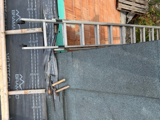 image4.jpeg